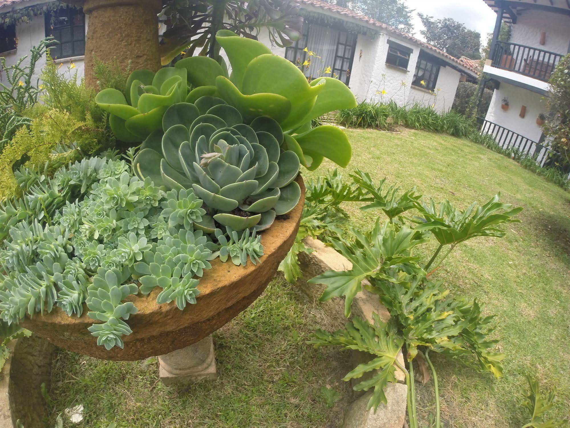 Casa San Nicolas Villa de Leyva Eksteriør bilde