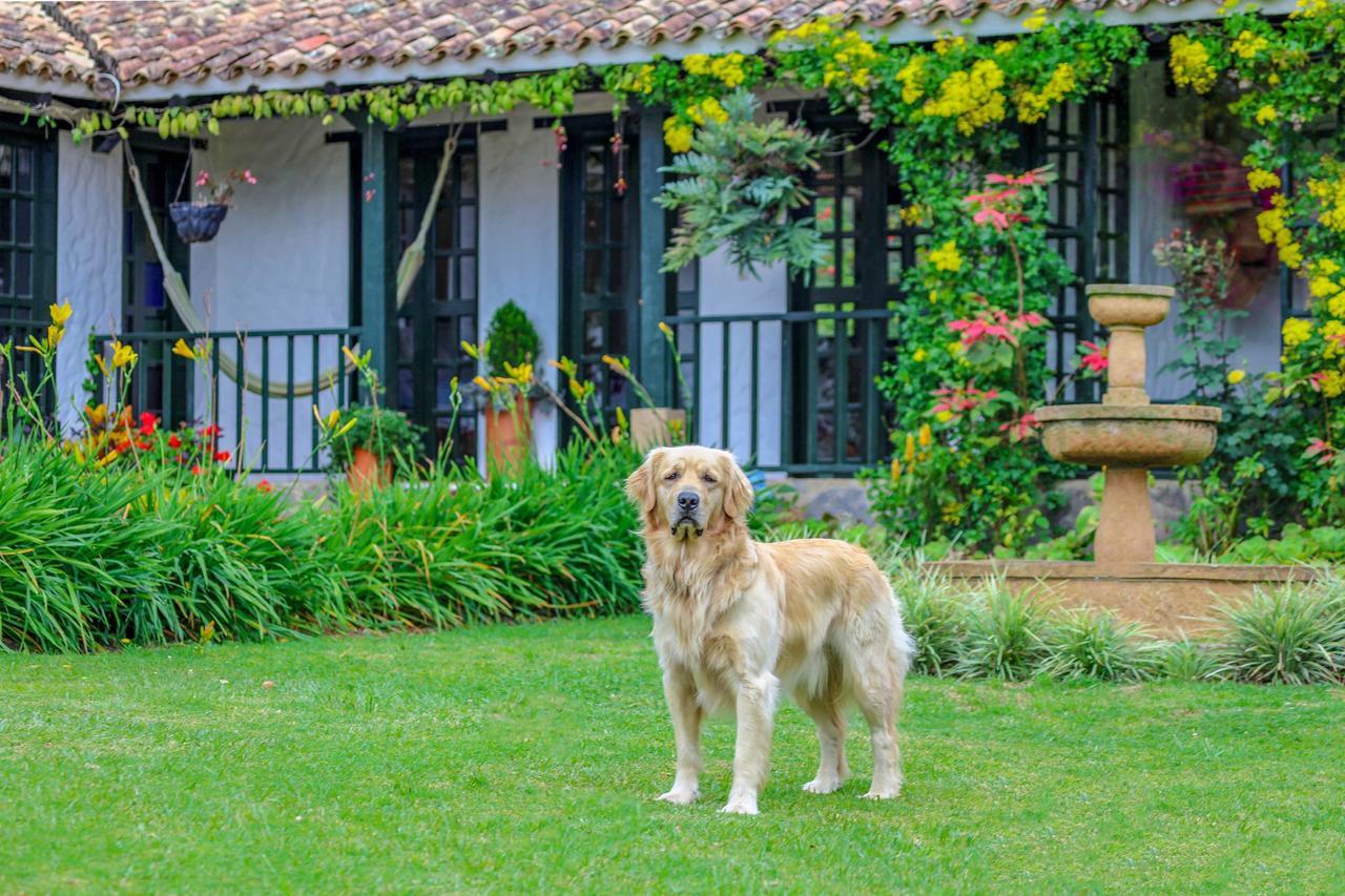 Casa San Nicolas Villa de Leyva Eksteriør bilde
